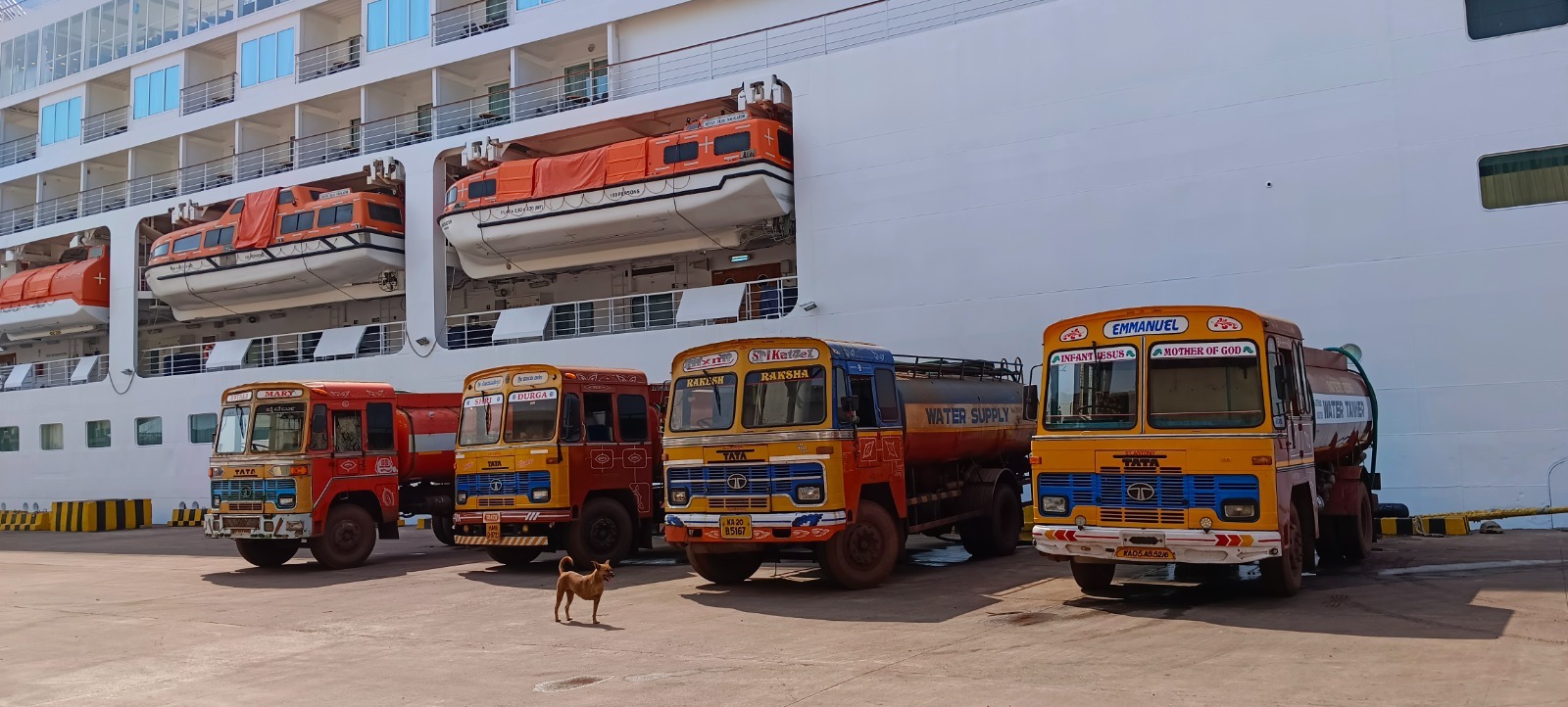 WhatsApp Image 2026-02-25 at 18.39.08